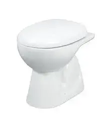anglo_indian_toilet_seat10[1]-5830038-21720.webp
